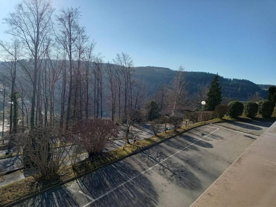 Duplex - Proche De Gerardmer Le Tholy Exterior photo