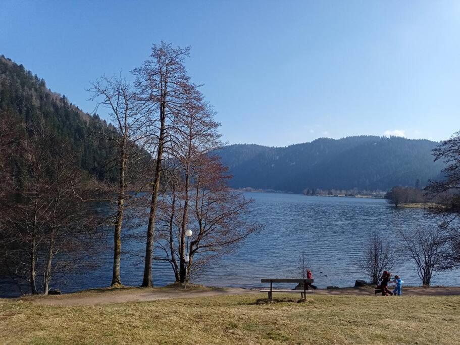 Duplex - Proche De Gerardmer Le Tholy Exterior photo
