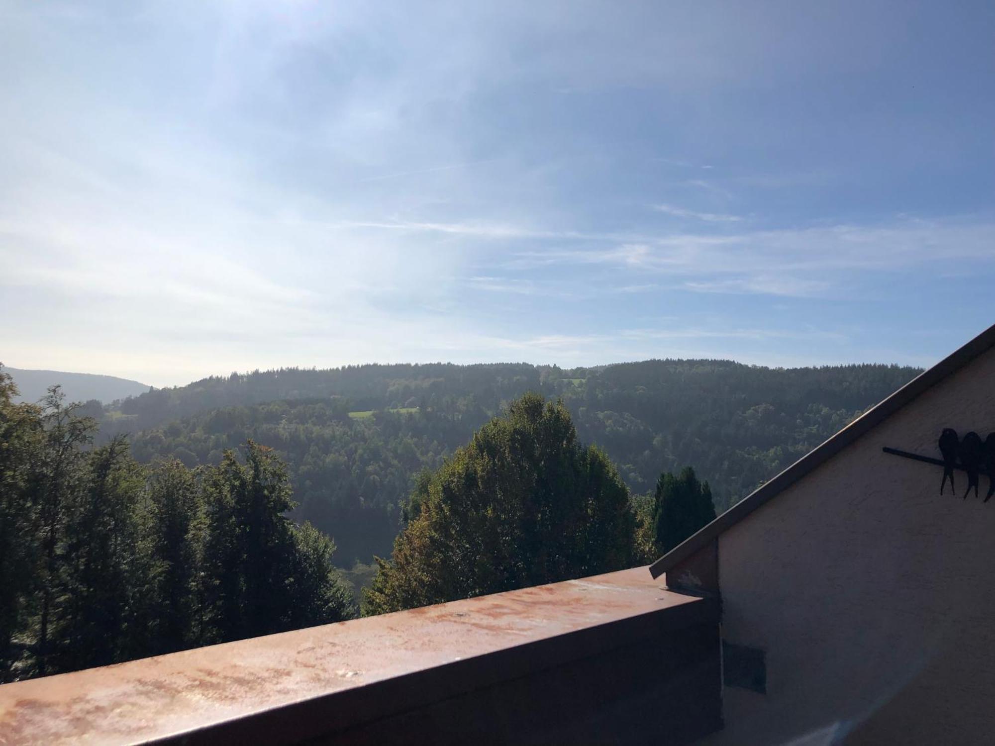 Duplex - Proche De Gerardmer Le Tholy Exterior photo